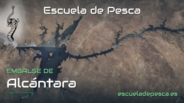 Vista aérea del embalse de Alcántara