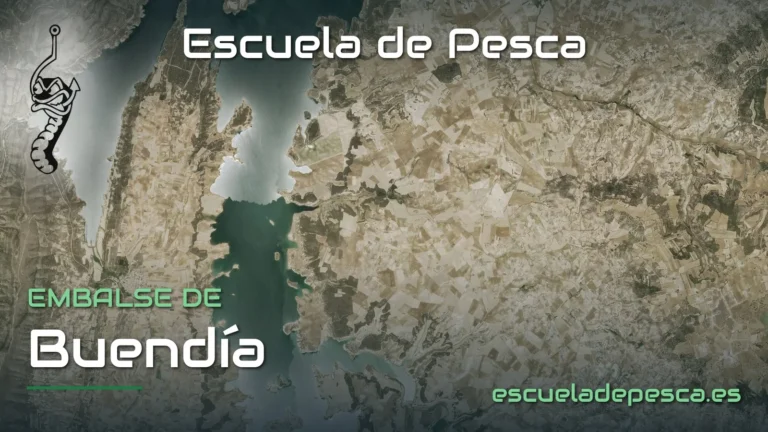 Vista aérea del embalse de Buendía