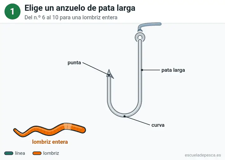 Animación: cómo poner una lombriz en el anzuelo, los 5 pasos seguidos.