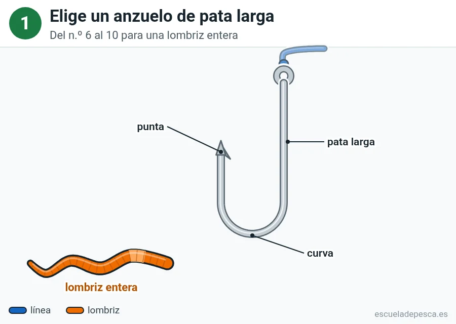 Ilustración: cómo poner una lombriz en el anzuelo, paso 1 de 5: anzuelo de pata larga con la línea azul atada al ojal; se señalan la pata, la curva y la punta, y abajo hay una lombriz entera de color naranja.