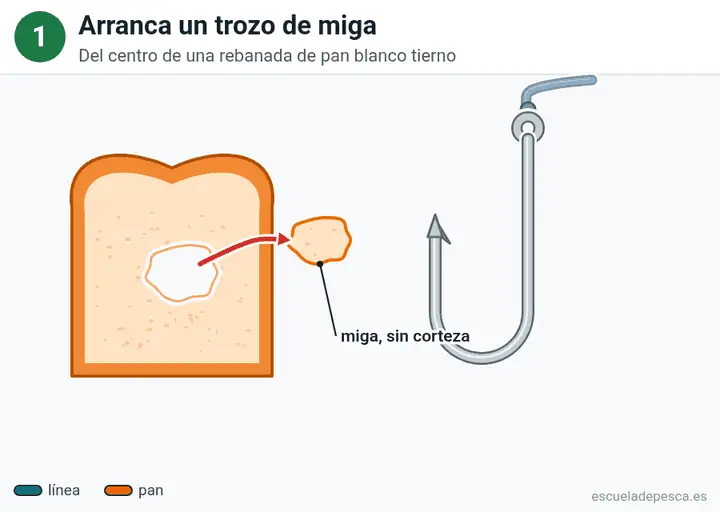 Animación: cómo poner pan en el anzuelo, los 5 pasos seguidos.
