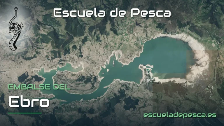 Vista aérea del embalse del Ebro