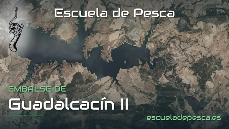 Vista aérea del embalse de Guadalcacín II