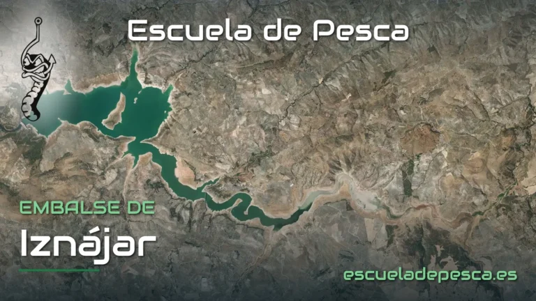 Vista aérea del embalse de Iznájar