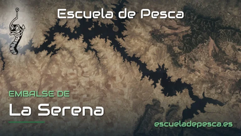 Vista aérea del embalse de La Serena