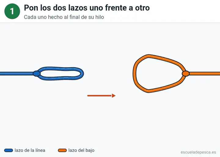 Animación del nudo Lazo a lazo (cabeza de alondra): los 4 pasos seguidos, con la línea principal y el cabo en colores distintos.
