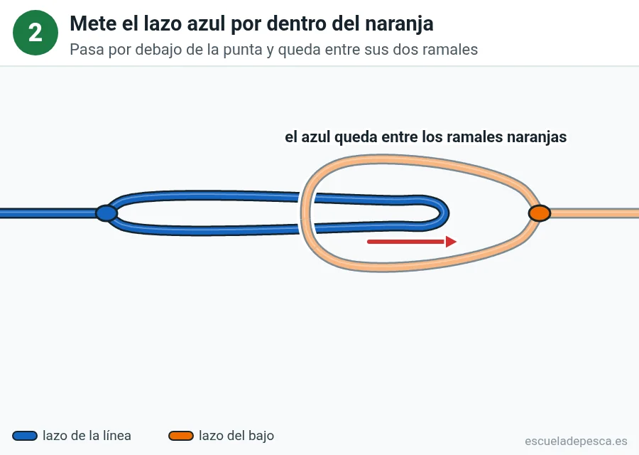 Nudo Lazo a lazo (cabeza de alondra), paso 2 de 4: Mete el lazo azul por dentro del naranja. Pasa por debajo de la punta y queda entre sus dos ramales.