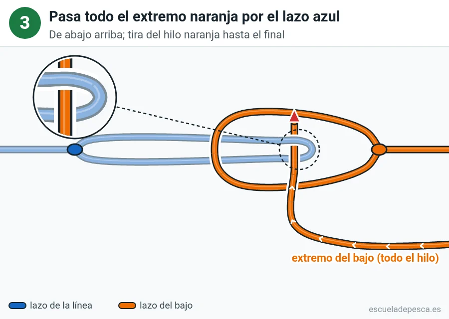 Nudo Lazo a lazo (cabeza de alondra), paso 3 de 4: Pasa todo el extremo naranja por el lazo azul. De abajo arriba; tira del hilo naranja hasta el final.