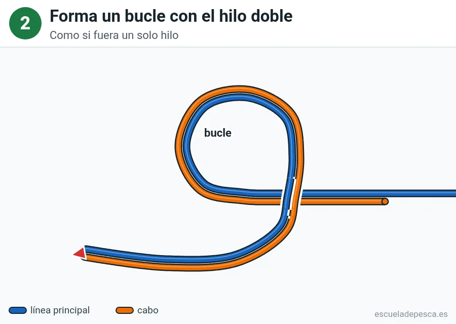 Nudo Lazo de cirujano, paso 2 de 5: Forma un bucle con el hilo doble. Como si fuera un solo hilo.
