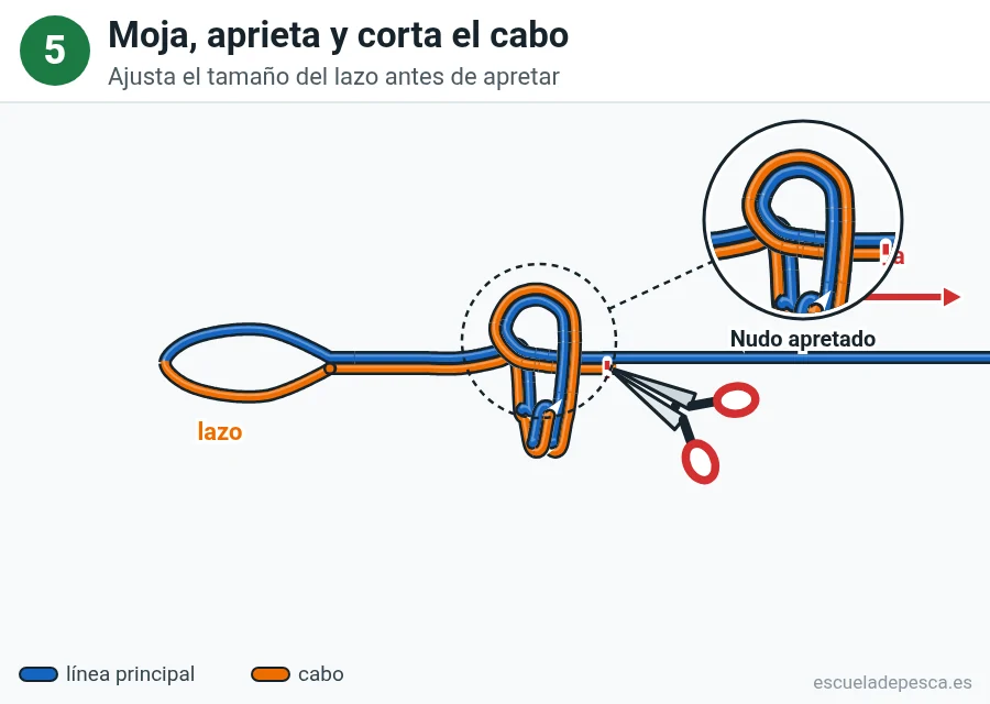 Nudo Lazo de cirujano, paso 5 de 5: Moja, aprieta y corta el cabo. Ajusta el tamaño del lazo antes de apretar.