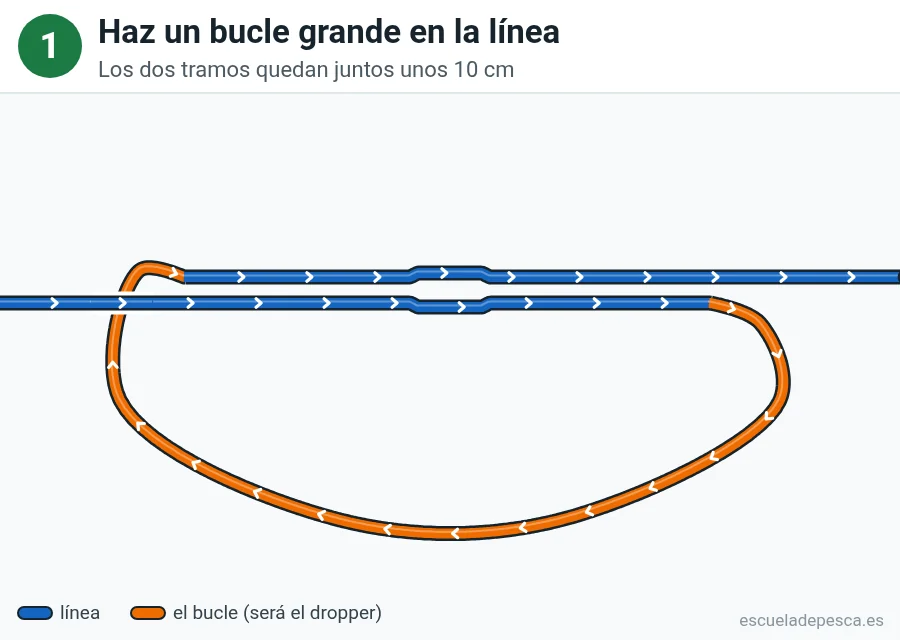 Nudo Lazo de derivación (dropper loop), paso 1 de 4: Haz un bucle grande en la línea. Los dos tramos quedan juntos unos 10 cm.