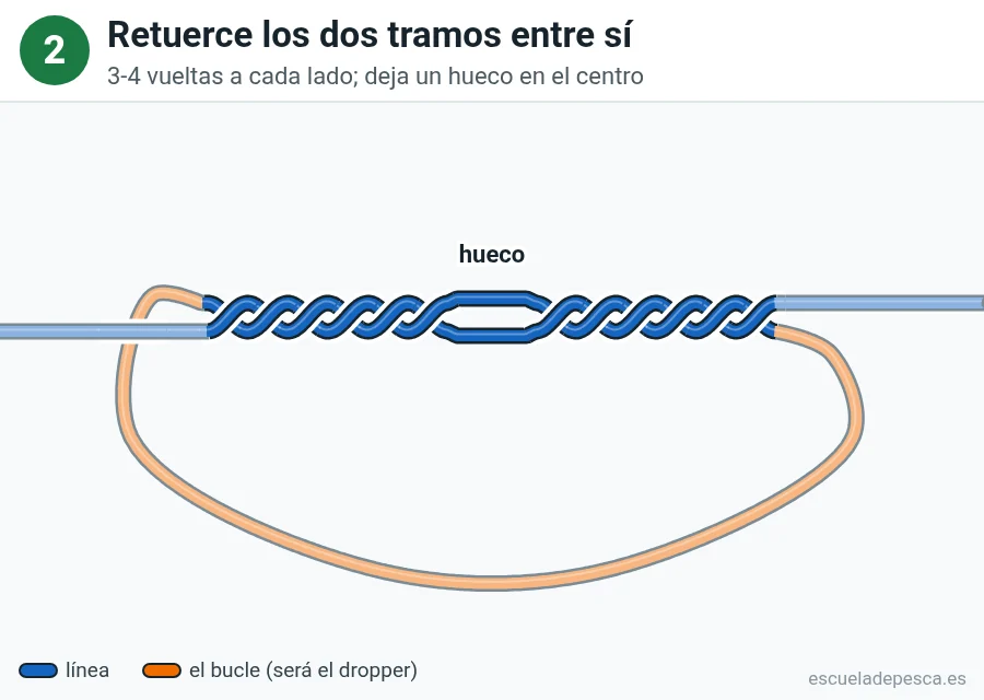 Nudo Lazo de derivación (dropper loop), paso 2 de 4: Retuerce los dos tramos entre sí. 3-4 vueltas a cada lado; deja un hueco en el centro.