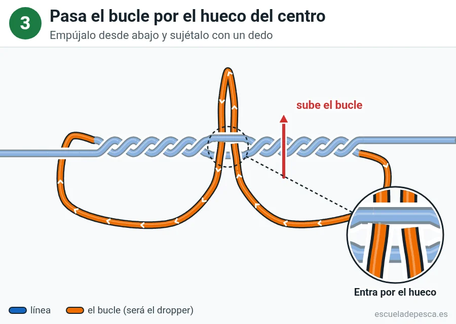 Nudo Lazo de derivación (dropper loop), paso 3 de 4: Pasa el bucle por el hueco del centro. Empújalo desde abajo y sujétalo con un dedo.
