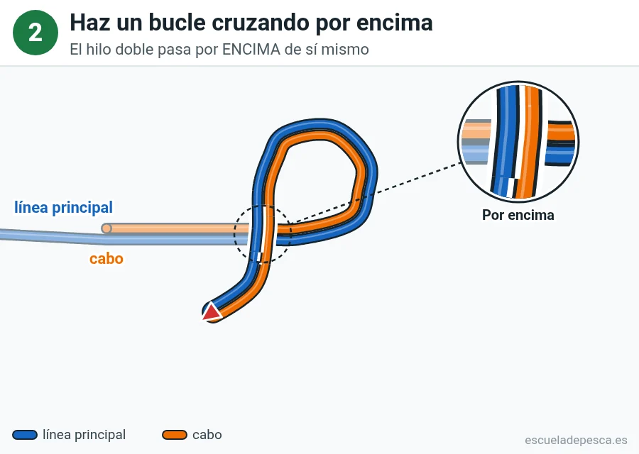 Nudo Lazo en ocho, paso 2 de 5: Haz un bucle cruzando por encima. El hilo doble pasa por ENCIMA de sí mismo.