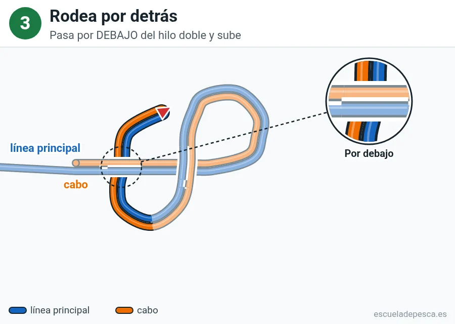 Nudo Lazo en ocho, paso 3 de 5: Rodea por detrás. Pasa por DEBAJO del hilo doble y sube.