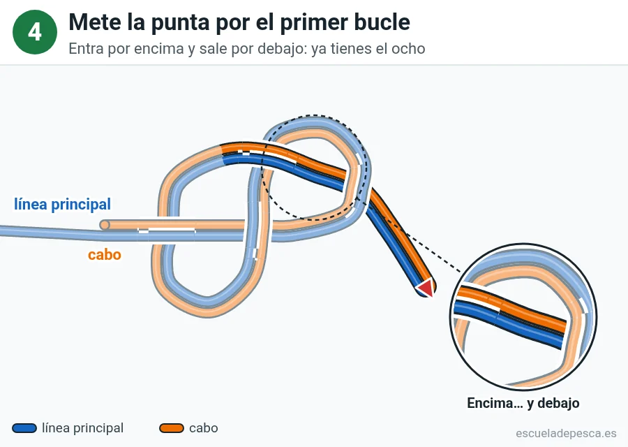 Nudo Lazo en ocho, paso 4 de 5: Mete la punta por el primer bucle. Entra por encima y sale por debajo: ya tienes el ocho.