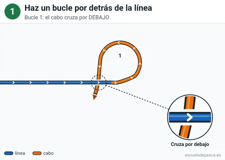 Animación del nudo Lazo perfecto (perfection loop): los 5 pasos seguidos, con la línea principal y el cabo en colores distintos.