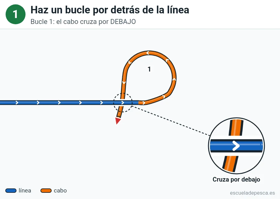 Nudo Lazo perfecto (perfection loop), paso 1 de 5: Haz un bucle por detrás de la línea. Bucle 1: el cabo cruza por DEBAJO.