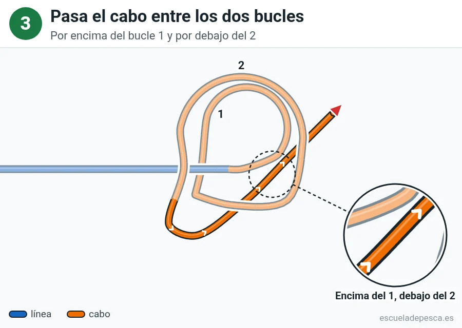 Nudo Lazo perfecto (perfection loop), paso 3 de 5: Pasa el cabo entre los dos bucles. Por encima del bucle 1 y por debajo del 2.