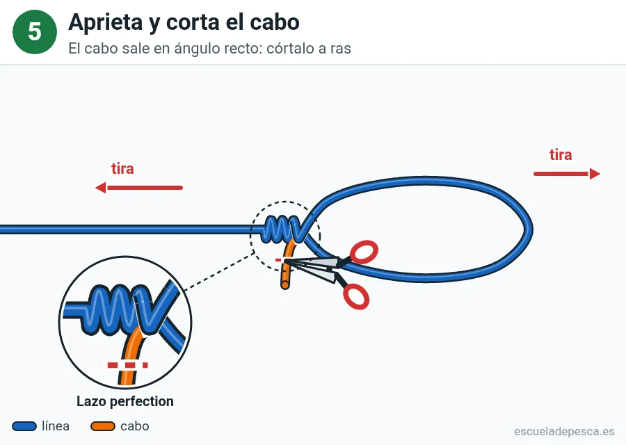 Nudo Lazo perfecto (perfection loop), paso 5 de 5: Aprieta y corta el cabo. El cabo sale en ángulo recto: córtalo a ras.