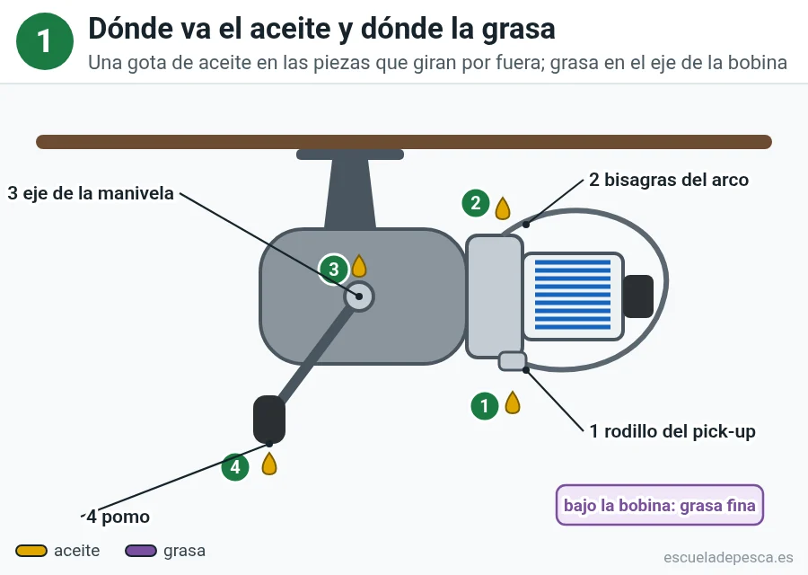 Esquema de un carrete de spinning con los puntos de aceite: rodillo del pick-up, bisagras del arco, eje y pomo de la manivela, y grasa bajo la bobina