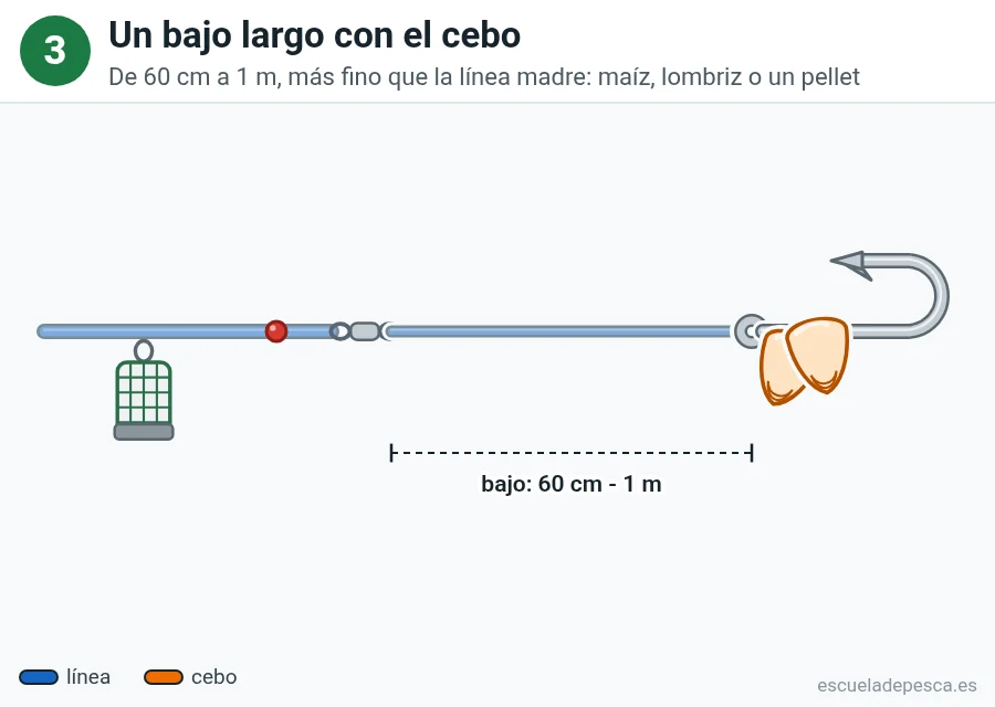 Paso 3 del montaje feeder: bajo largo con anzuelo cebado con maíz