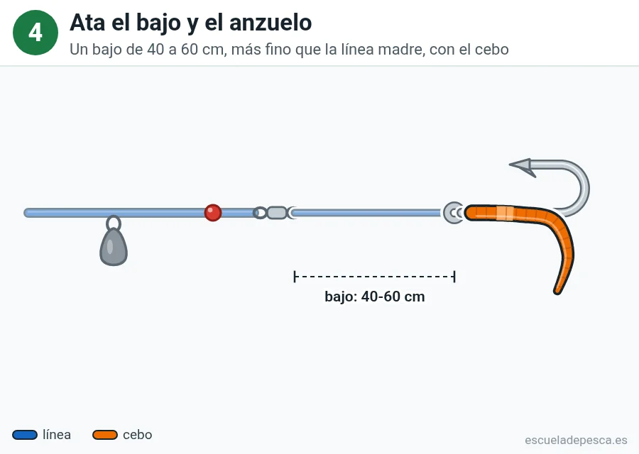 Ilustración del montaje a fondo, paso 4 de 5: bajo de 40 a 60 centímetros atado al emerillón, con un anzuelo cebado con lombriz.