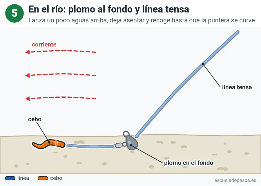 Ilustración del montaje a fondo en el río, paso 5 de 5: el plomo apoyado en el fondo, la línea tensa hacia la caña y el cebo aguas abajo con la corriente.