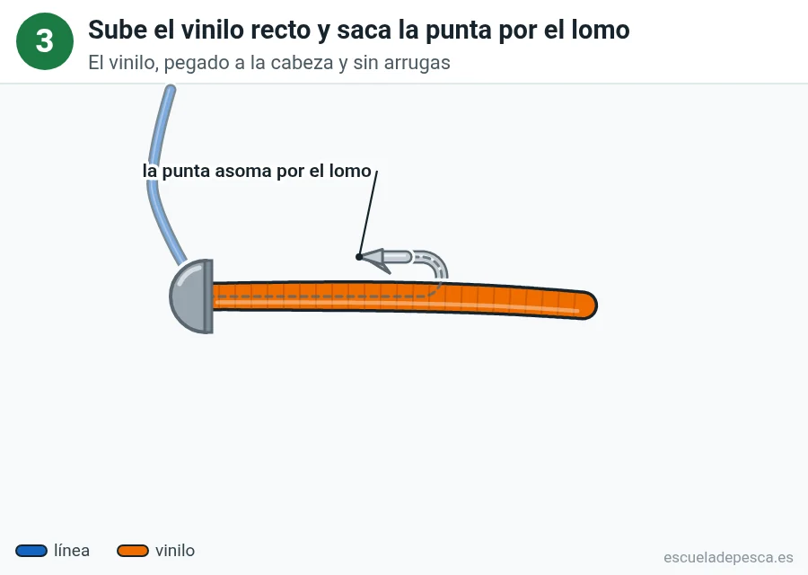 Ilustración del montaje ned, paso 3 de 4: el vinilo, recto y pegado a la cara plana de la cabeza, cubre la pata del anzuelo y la punta asoma por el lomo.