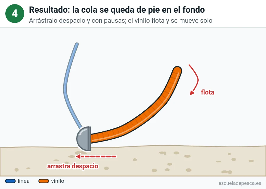 Ilustración del montaje ned, paso 4 de 4: la cabeza seta apoyada en el fondo y la cola del vinilo de pie, flotando; flechas rojas indican el arrastre lento.
