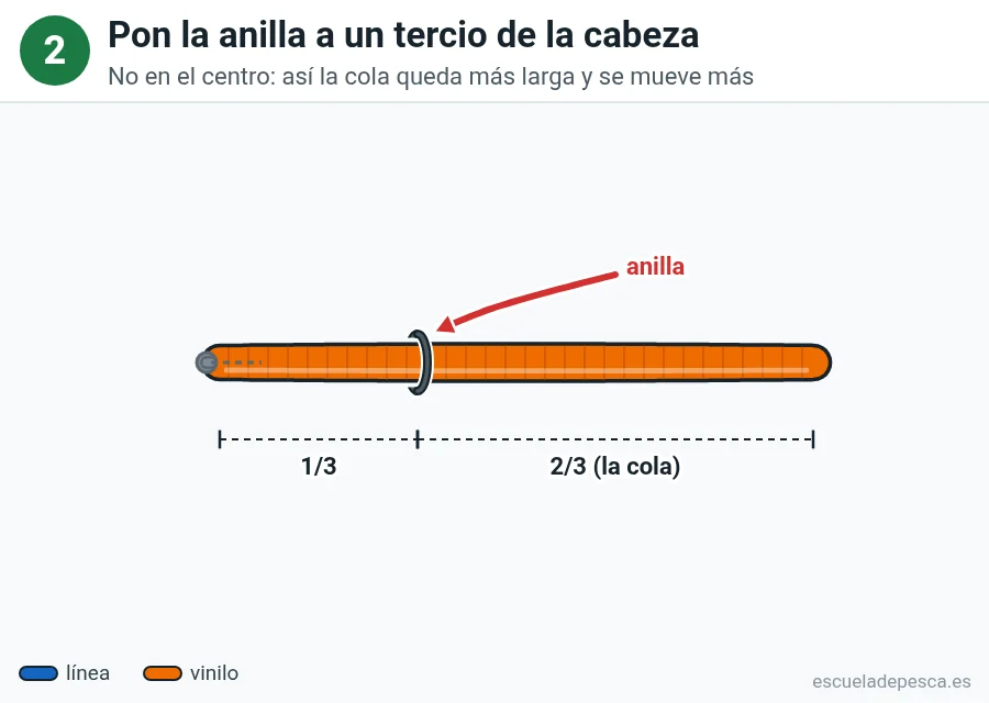 Ilustración del montaje neko, paso 2 de 4: el plomo ya está dentro de la cabeza del vinilo y una anilla de goma se coloca a un tercio de la cabeza; una cota marca un tercio y dos tercios.