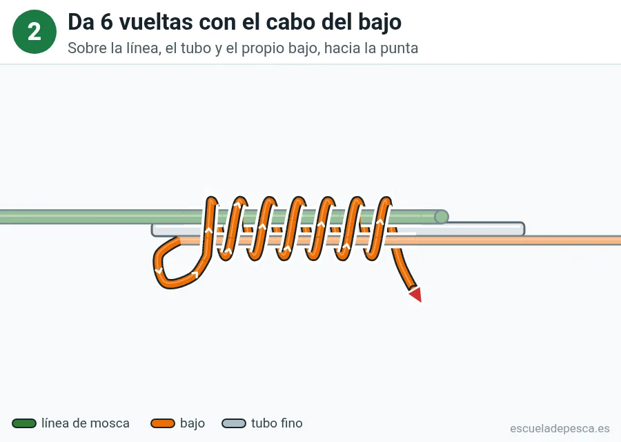 Nudo Nail knot (nudo de tubo), paso 2 de 5: Da 6 vueltas con el cabo del bajo. Sobre la línea, el tubo y el propio bajo, hacia la punta.