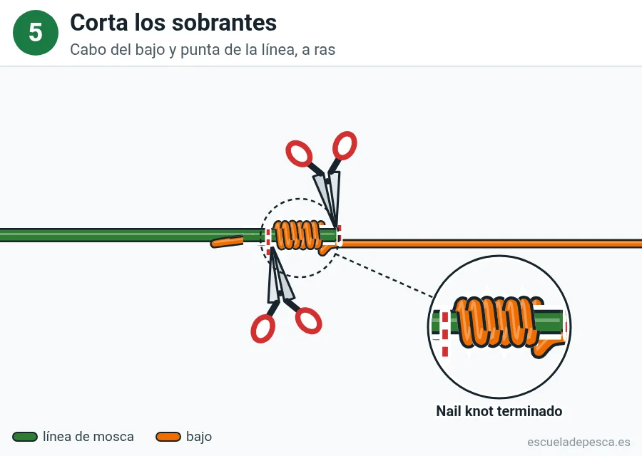 Nudo Nail knot (nudo de tubo), paso 5 de 5: Corta los sobrantes. Cabo del bajo y punta de la línea, a ras.