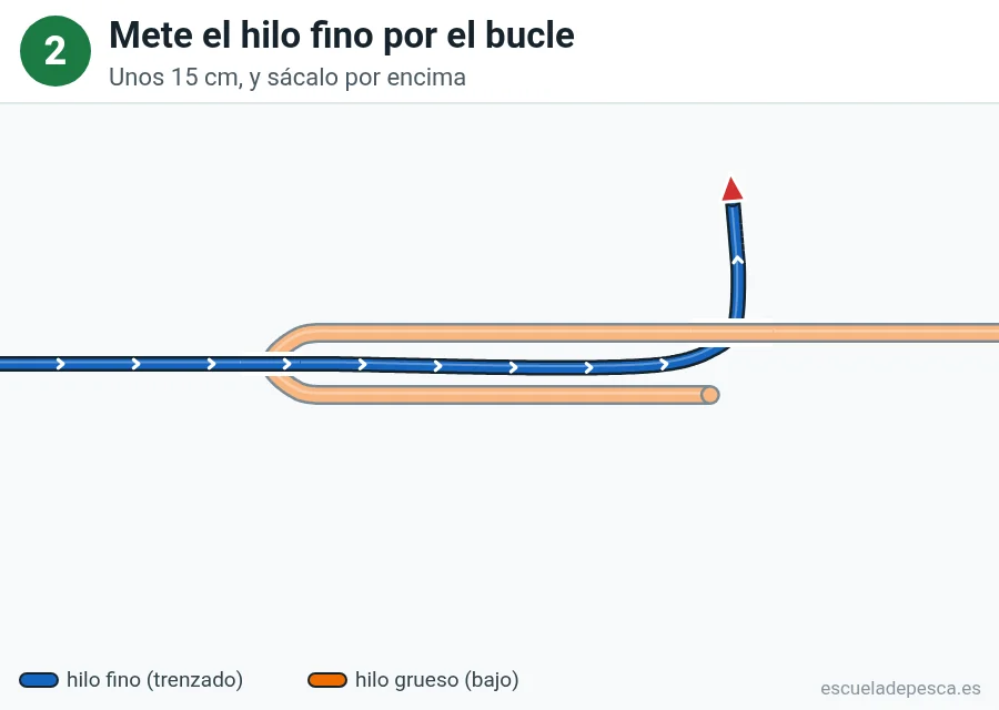 Nudo Albright, paso 2 de 5: Mete el hilo fino por el bucle. Unos 15 cm, y sácalo por encima.