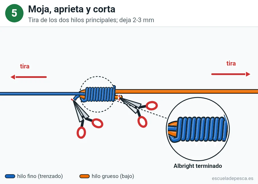 Nudo Albright, paso 5 de 5: Moja, aprieta y corta. Tira de los dos hilos principales; deja 2-3 mm.