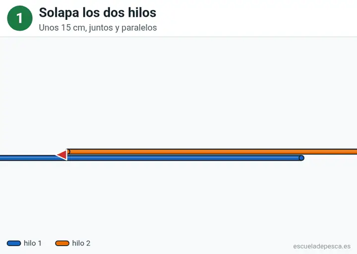 Animación del nudo Cirujano doble: los 5 pasos seguidos, con la línea principal y el cabo en colores distintos.