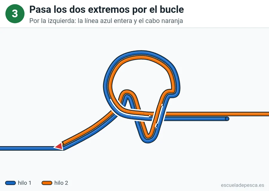 Nudo Cirujano doble, paso 3 de 5: Pasa los dos extremos por el bucle. Por la izquierda: la línea azul entera y el cabo naranja.