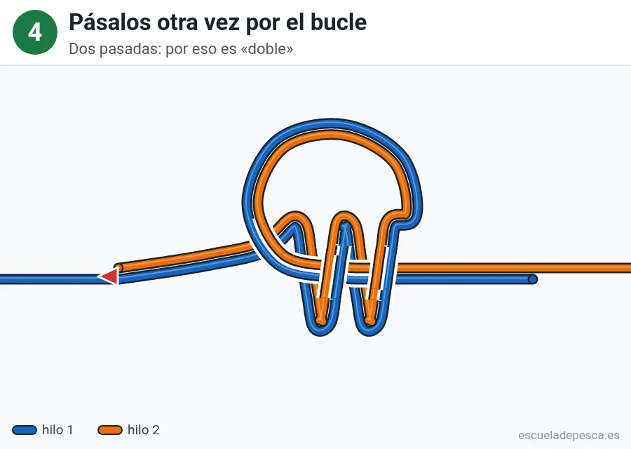 Nudo Cirujano doble, paso 4 de 5: Pásalos otra vez por el bucle. Dos pasadas: por eso es «doble».