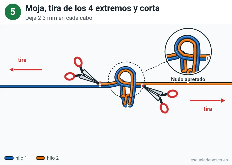Nudo Cirujano doble, paso 5 de 5: Moja, tira de los 4 extremos y corta. Deja 2-3 mm en cada cabo.