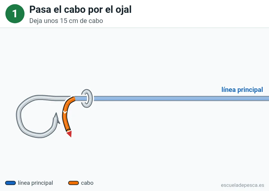 Nudo Clinch mejorado, paso 1 de 6: Pasa el cabo por el ojal. Deja unos 15 cm de cabo.