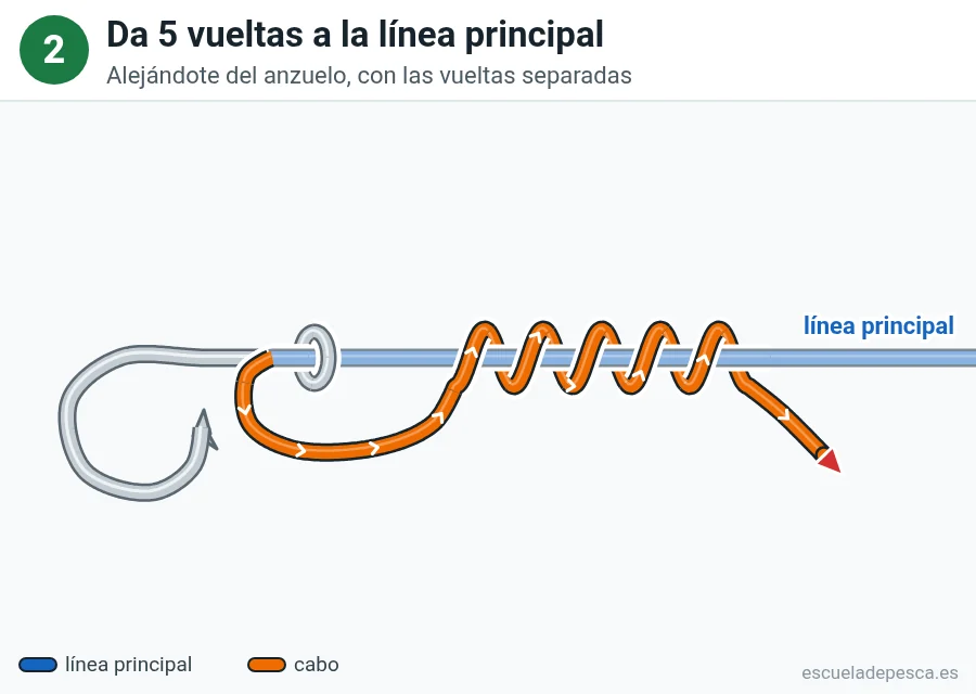 Nudo Clinch mejorado, paso 2 de 6: Da 5 vueltas a la línea principal. Alejándote del anzuelo, con las vueltas separadas.