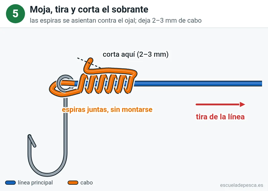 Nudo Clinch mejorado, paso 5 de 6: Moja y aprieta. Sujeta el anzuelo y tira de la línea: las vueltas bajan hasta el ojal.