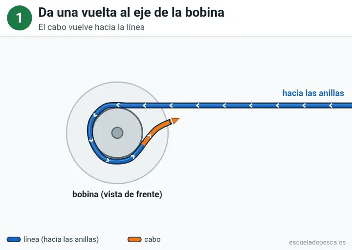 Animación del nudo Nudo de bobina (arbor): los 4 pasos seguidos, con la línea principal y el cabo en colores distintos.