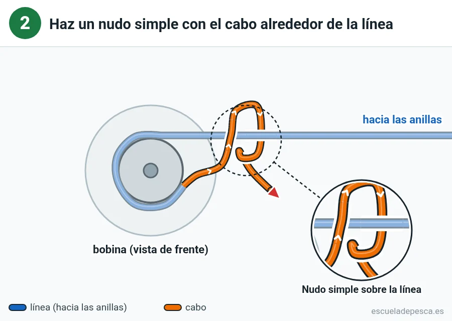 Nudo Nudo de bobina (arbor), paso 2 de 4: Haz un nudo simple con el cabo alrededor de la línea.