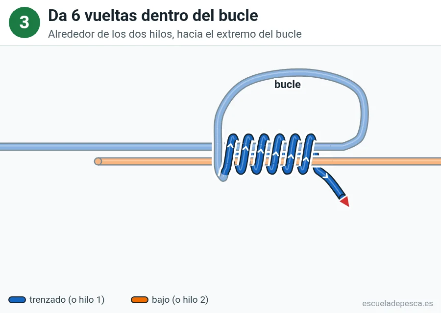 Nudo Doble uni, paso 3 de 7: Da 6 vueltas dentro del bucle. Alrededor de los dos hilos, hacia el extremo del bucle.