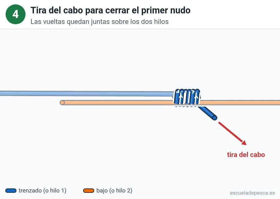 Nudo Doble uni, paso 4 de 7: Tira del cabo para cerrar el primer nudo. Las vueltas quedan juntas sobre los dos hilos.