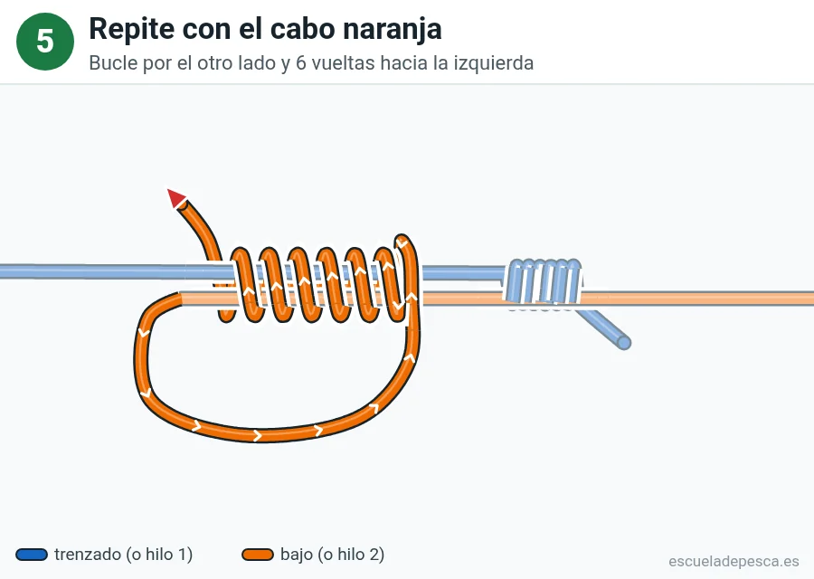 Nudo Doble uni, paso 5 de 7: Repite con el cabo naranja. Bucle por el otro lado y 6 vueltas hacia la izquierda.