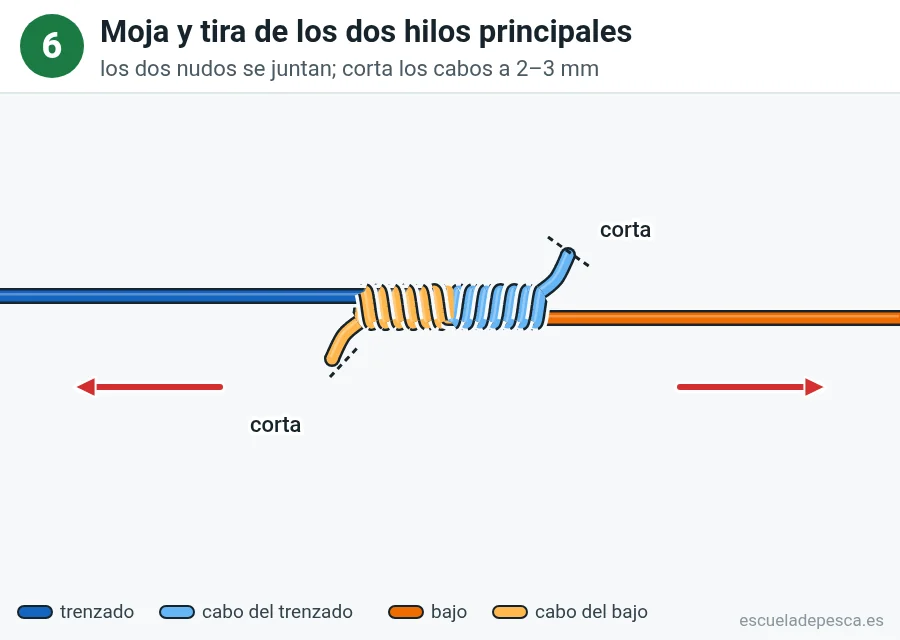 Nudo Doble uni, paso 6 de 7: Tira de los dos hilos principales. Los dos nudos se deslizan hasta juntarse.