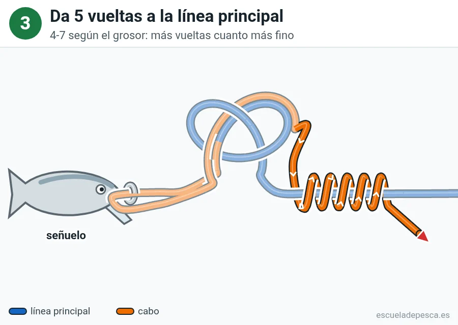 Nudo Lazo no deslizante (Kreh), paso 3 de 5: Da 5 vueltas a la línea principal. 4-7 según el grosor: más vueltas cuanto más fino.