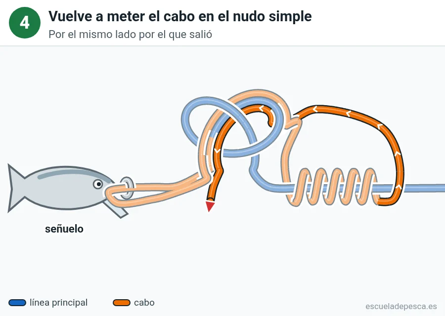 Nudo Lazo no deslizante (Kreh), paso 4 de 5: Vuelve a meter el cabo en el nudo simple. Por el mismo lado por el que salió.